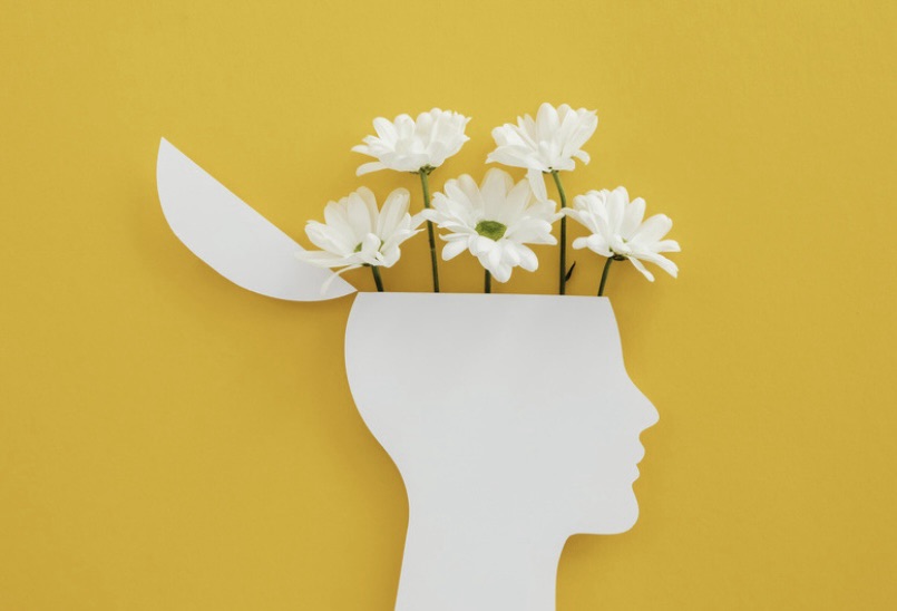 Essential Oils for Better Brain Function (and Beauty): Unlocking “Beauty and a&nbsp;Brain”